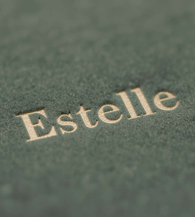Rectangle 48 estelle logo